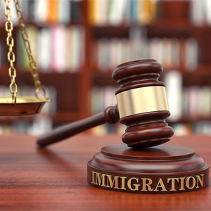 Immigration Appeals